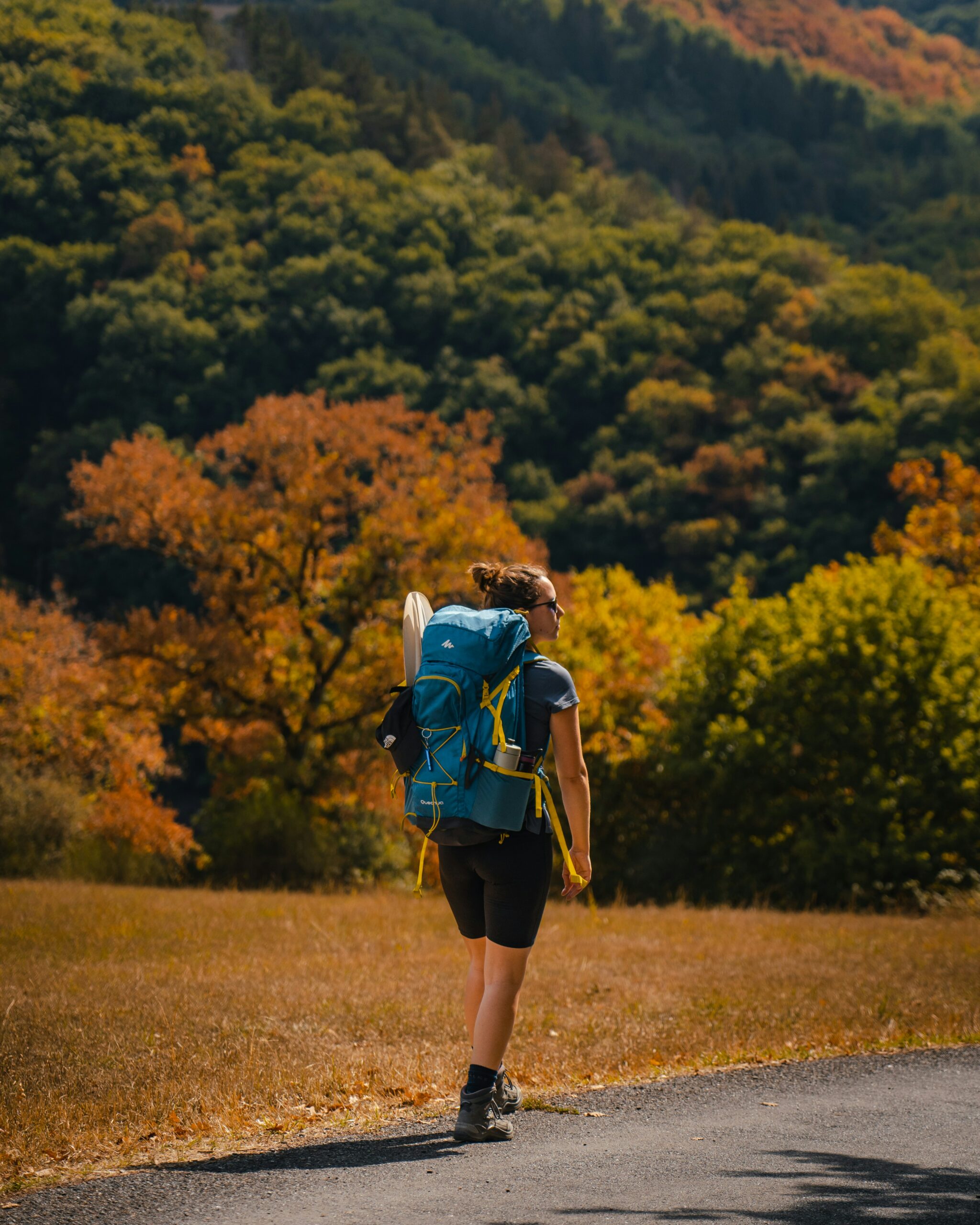 krisztian toth x6U4vv5ts34 unsplash scaled