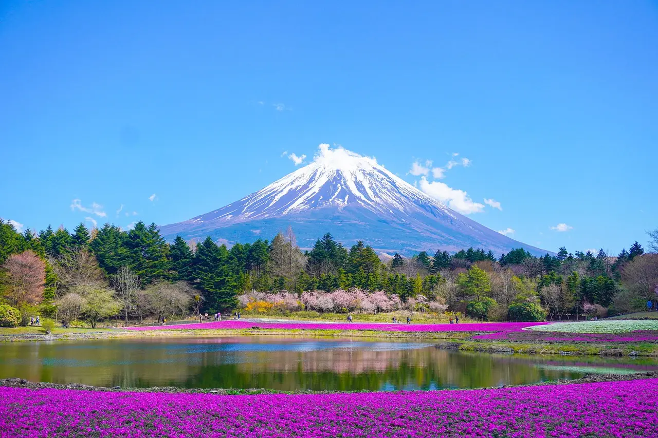 Panorama sur le Mont Fuji entouré de champs fleuris au bord d’un lac – une image iconique d’un voyage au Japon entre nature et contemplation.