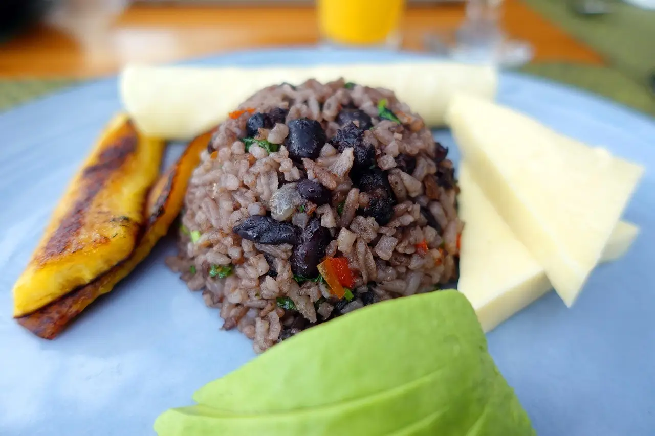 plat de gallo pinto avec avocat et plantains – gastronomie du Costa Rica à manger lors d'un voyage au Costa Rica