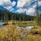 Paysage du parc national de Jasper avec rivière, forêt de conifères et montagnes – nature sauvage observée lors d'un voyage au Canada