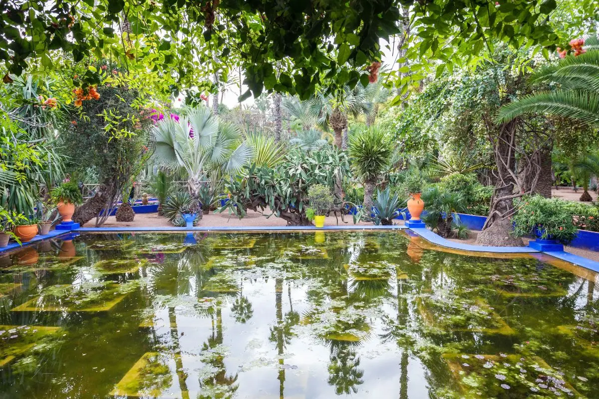 Bassin et végétation luxuriante du Jardin Majorelle lors d’un voyage au Maroc