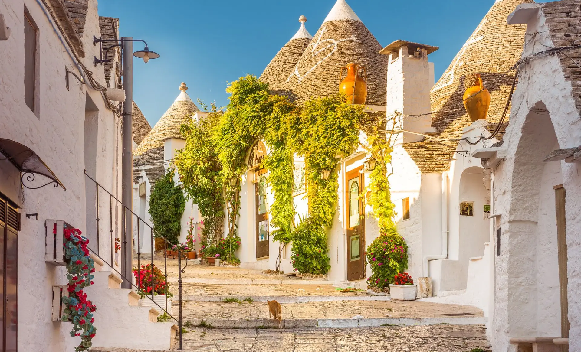 Découvrez les ruelles blanches et les trulli typiques d'Alberobello, joyau des Pouilles en Italie.