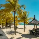 Transats sous les palmiers sur une plage de sable blanc à l’île Maurice